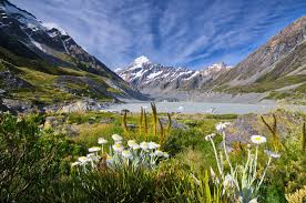 We did not find results for: Australie A Novy Zeland Viva Australie