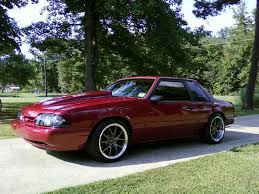 Image result for Wild Strawberry 1991 Tempo