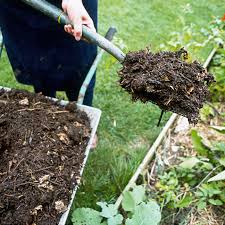 We did not find results for: Winter Mulching In Cold Climate Gardens