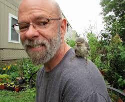 Orange explains it all: Meron's garden bird