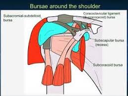 Find out everything you need to know about the causes, symptoms and there are a number of shoulder bursa located around the joint as shown in the diagram including the: Subdeltoid Bursitis In Melbourne