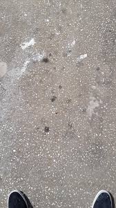 Check spelling or type a new query. Advice For Removing 6 Month Old Oil Stains And Dexcool Stains From Driveway Mechanicadvice