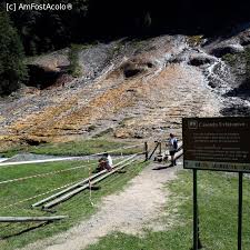 Drumul spre cascada urlatoarea si spre rezervatia de zimbrii din vama buzaului. Vama Buzaului Doar Pentru Iubitorii De Natura Impresii DescoperÄ Vama BuzÄului Vama BuzÄului Bv Amfostacolo