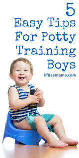 5 Easy Tips For Potty Training Boys Potty Training Boys Starting Potty Training Potty Training Tips