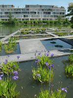 Jardin Botanique Bordeaux France Catherine Mosbach Agua