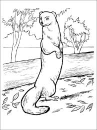 Coloring pages are fun for children of all ages and are a great educational tool that helps children develop fine motor skills, creativity and color recognition! Pin On Coloring Book