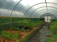 How Much Does a Polytunnel Cost in 2025? | Checkatrade