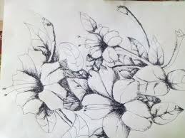 100 gambar bunga berbagai jenis yang indah cantik mahal. 39 Gambar Sketsa Bunga Indah Sakura Mawar Melati Matahari Anggrek Teratai