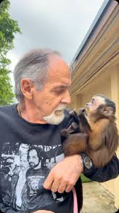 Monkeying around with @romeozwfmiami 🐒, #braziliantuftedcapuchin #capuchin  #capuchinmonkey #intelligent #myworld