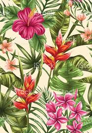 Check spelling or type a new query. Tropical Floral Seamless Pattern With Plumeria And Hibiscus Flowers Tropical Flowers Illustration Tropical Illustration Tropical Art