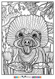 There are three main categories of colors: Pin En Gossos Models Zentangle Modelos Perros