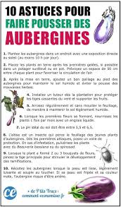100 Astuces Potager Pour Faire Pousser Vos Legumes Facilement En 2020 Potager Maraicher Aubergine