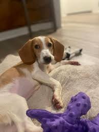 Hi all! I just wanted to introduce myself and share a photo that I took