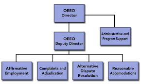 Organizational Chart About Us Oeeo