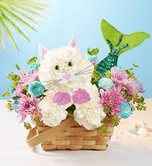 We did not find results for: Conroys Flowers Local El Cajon Ca Florists Same Day Delivery San Diego Ca Florist