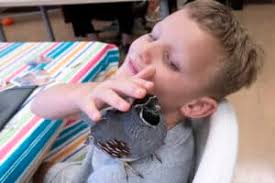 Summer camps for kids hosted throughout Sedona