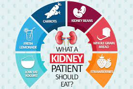 In acute renal failure , kidney function is lost rapidly and can occur from a variety of insults to the body. What A Kidney Patient Should Eat Kidney Disease Diet Recipes Kidney Disease Diet Kidney Failure Diet