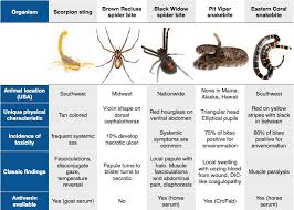 Black widow is much feared because its bite is fifteen times more venomous than a rattlesnake. Pin On Rosh Review
