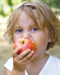 Apples, Cider & Doughnuts