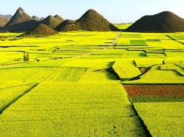 مجلة الروائع أجمل صور الربيع من أنحاء العالم Pictures Of Spring Flowers Spring Photos Beautiful Pictures