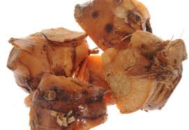 Asia represents rich traditional dietary diversity. Past And Present Practices Of The Malay Food Heritage And Culture In Malaysia Sciencedirect