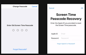 I don't remember ever setting a screen time password and now i want to change i tried forgot password and i try to change it entering my apple id and pw (which i'm sure i'm entering correctly) but it just sends me back to the screentime password screen and it marks an extra failed attempt. How To Change Screen Time Passcode If You Forgot It
