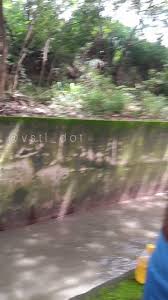 @vstl_dots video Tweet