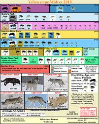 Wolf Chart 2018