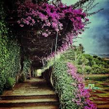 Botanical Garden Places To Visit Botanical Gardens Beautiful Gardens