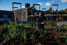 Raised beds are fine on sturdy decks or paved surfaces, such as the edge of a driveway. Seattle S Urban Farmers Are Reclaiming Public Space Crosscut