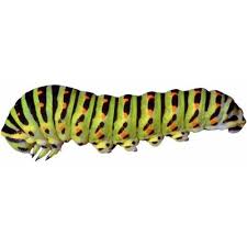 Genuine caterpillar apparel, footwear/shoes/boots, toys, scale models, accessories, and more. Caterpillar Significado De Caterpillar En El Longman Dictionary Of Contemporary English Ldoce
