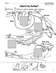 Science Worksheet Rain Forest Animals Rainforest Animals Rainforest Theme Forest Preschool