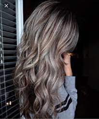 Love This For Winter Brown Hair With Blonde Highlights Brown Hair With Silver Highlights Hair Styles
