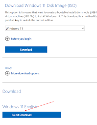 An iso factory is a factory that has been certified as complying with standards set forth by the international organization for standardization (iso). How To Download Windows 11 Iso From Microsoft
