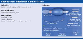 Image result for Medication Route