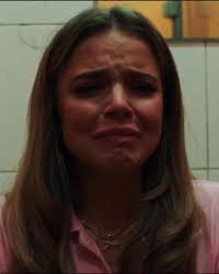 Ted and Holly Rollins Scholarship