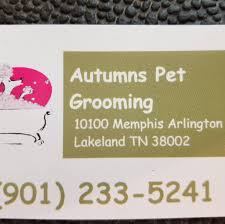 Super angebote für pet grooming hier im preisvergleich. Aussie Pet Mobile Greater Memphis West Tn Home Facebook