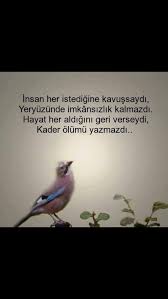 Hulya Okcu Aslan Adli Kullanicinin Anlamli Sozler Panosundaki Pin Hayat Kader Guzel Soz