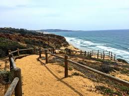 There are no featured reviews for because the movie has not released yet (). All You Need To Know About Torrey Pines Hiking Trails