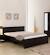Bed King Size Bed Pepperfry