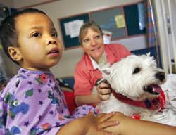 ANNUAL REPORT 2012 }