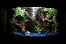Fake Bamboo Custom Fish Tanks Aquascape Aquarium Custom Aquarium