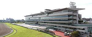 Check spelling or type a new query. é˜ªç¥žç«¶é¦¬å ´ Jra