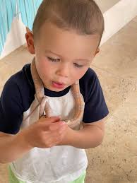 Snakes as friendly and loving pets exist