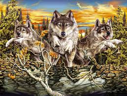 Download and use 30,000+ wolf wallpaper stock photos for free. Wolf Fantasy 2048 X 2048 Ipad Wallpaper Download