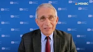 Fauci: Americans should 'hang on' for vaccine, not travel or congregate for  holidays