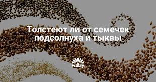 Tolsteyut Li Ot Semechek Privodyat Li K Ozhireniyu Semechki Podsolnuha I Tykvy Www Wday Ru