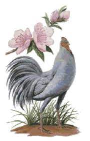 Butterfly cross stitch cute cross stitch cross stitch bird cross stitch flowers counted cross stitch patterns wood crosses dmc floss back counted cross stitch patterns instant download pdf by bergstitch. 900 Cross Stitch Birds Animals Ideas In 2021 Cross Stitch Bird Cross Stitch Stitch