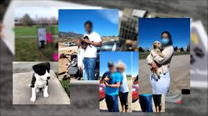 Under our adopt tab, you can find the cats and dogs currently available for adoption. State Of Colorado Investigating Puppy Slinger Who Sold Puppies At Adoption Events Cbs Denver