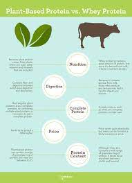 Plant Protein Vs Whey Protein What S Better For You Infographic Idealraw Whey Protein Plant Based Protein Powder Plant Protein
